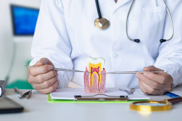 Best Emergency Treatment for Dental Infections or Abscesses in Denver, PA